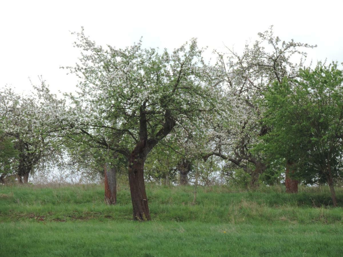 Pod Miotelka Wlen Bagian luar foto