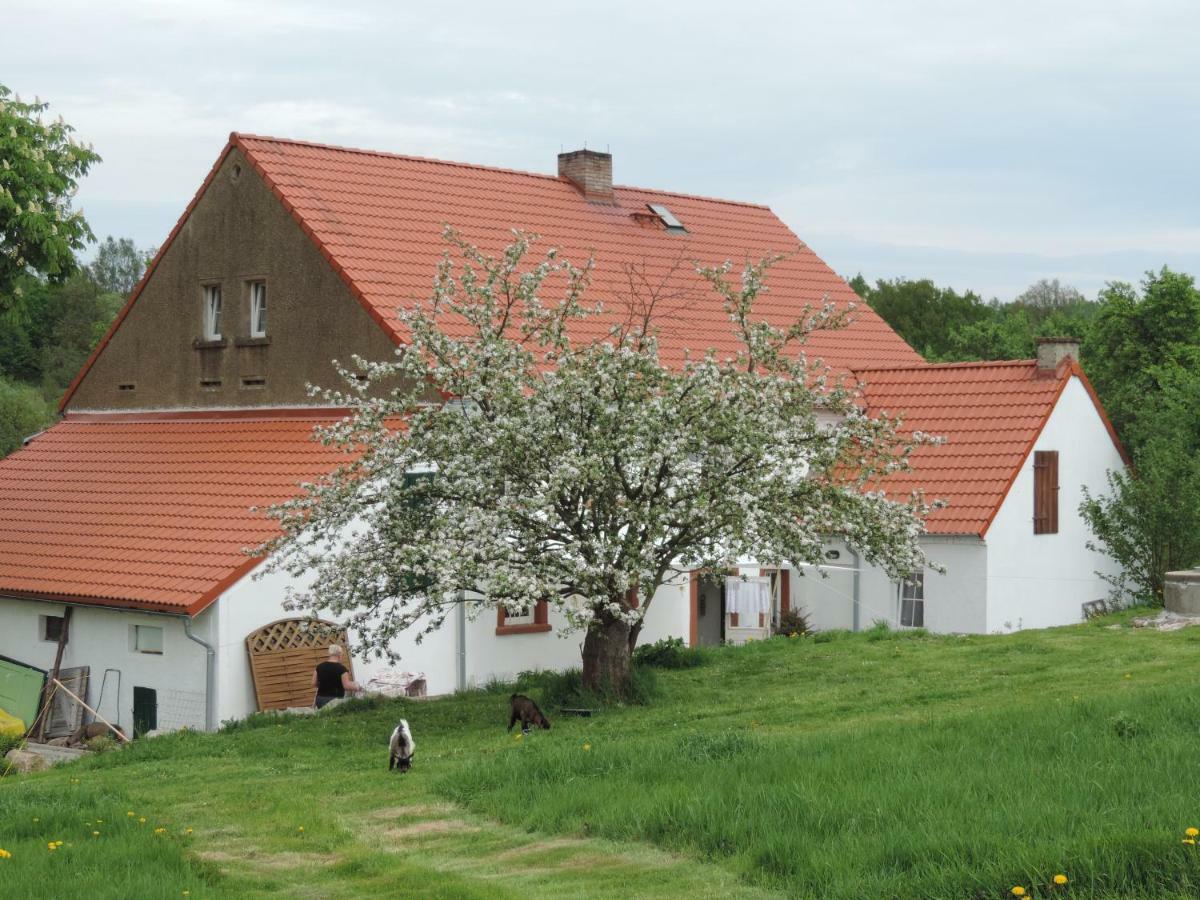 Pod Miotelka Wlen Bagian luar foto
