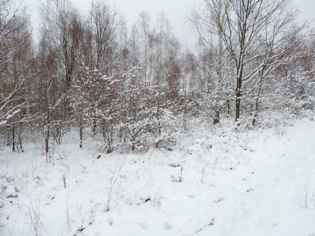 Pod Miotelka Wlen Bagian luar foto